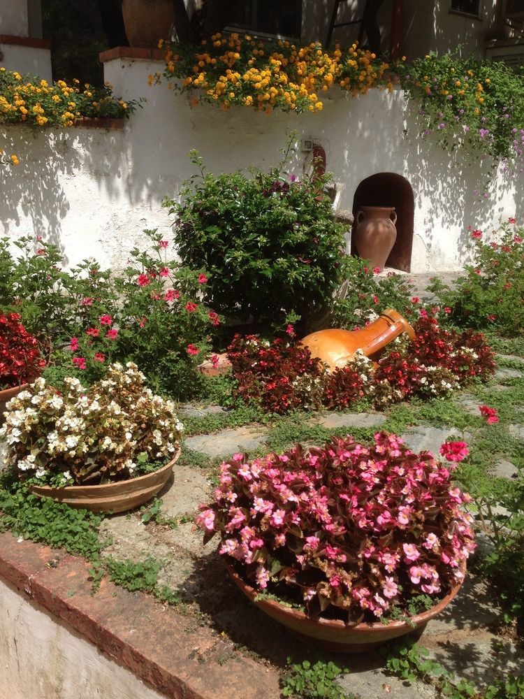 Mediterraneo Bed & Breakfast Anacapri  Exteriér fotografie