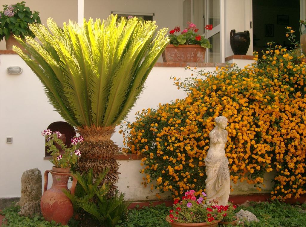 Mediterraneo Bed & Breakfast Anacapri  Exteriér fotografie