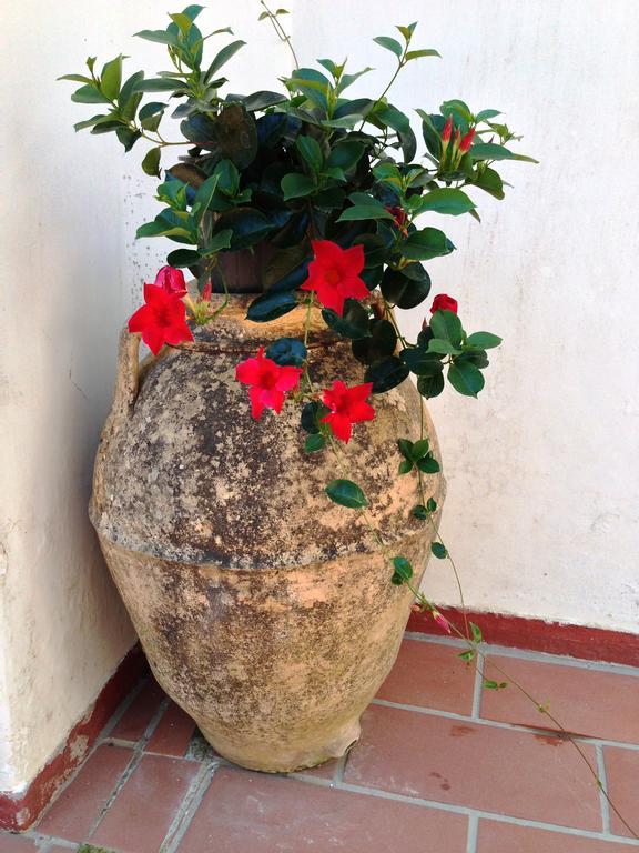 Mediterraneo Bed & Breakfast Anacapri  Exteriér fotografie