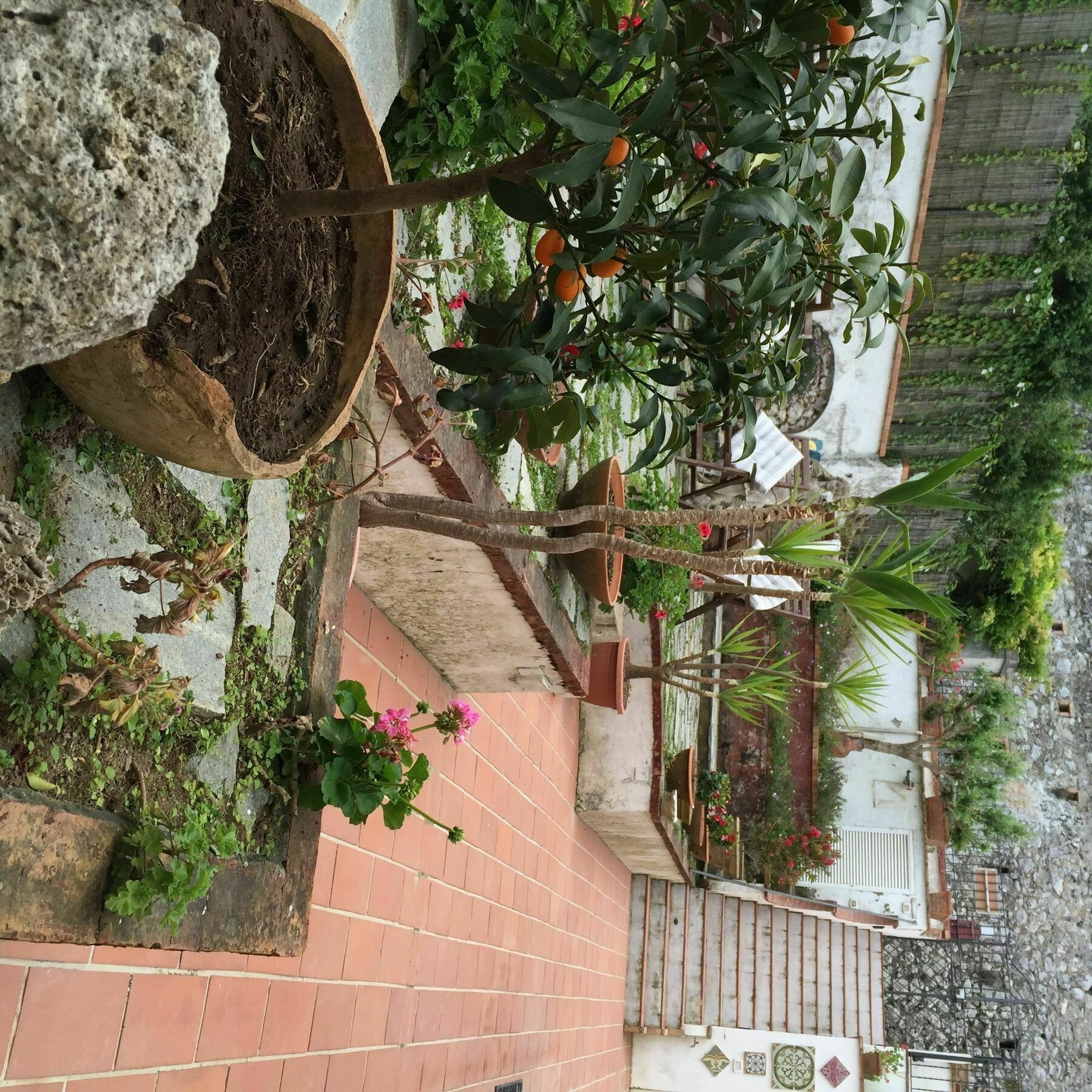 Mediterraneo Bed & Breakfast Anacapri  Exteriér fotografie