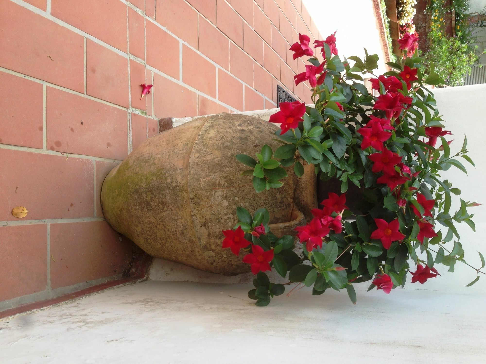 Mediterraneo Bed & Breakfast Anacapri  Exteriér fotografie
